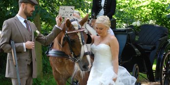 Efter ett bröllop med häst och vagn sagohäst ardennerhäst Öbergets Corinne